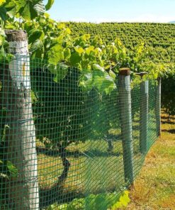 Rete Metallica Plasticata Verde 0,5X10M Per Recinzione Giardino