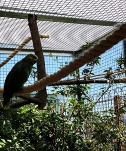 Rete Metallica Plasticata Verde 0,5X10M Per Recinzione Giardino