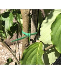 100 Fascette Plastica Verde Giardinaggio 2.5X100mm