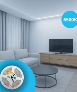 24V Striscia Led SMD Da 10 Metri, 16W/M 135lm/W 182SMD/M, Bianco Freddo 6500K, Larga 8mm, Dimmerabile PWM, Tagliabile ogni 7smd Da 38mm, IP20, CRI>80