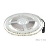 24V Bobina Striscia Led Da 10 Metri IP20 6400K 7,2W/M 1200 smd 2835 600 LM/M SKU-212624