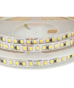 24V Bobina Striscia Led Da 10 Metri IP20 6000K 12W/M 1600 smd 2835 2000 LM/M Passo 8mm