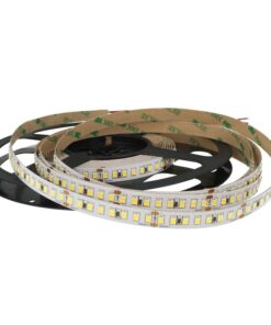 24V Bobina Striscia LED 12W/M 165LM/W 2000LM/M 3 Step Bianco Freddo 6000K 800 SMD 2835 5 Metri IP20