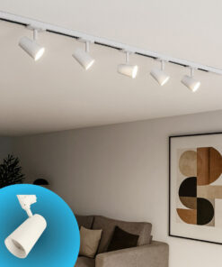 Faro Lampada Led A Binario 30W 2800lm Trifase CCT Angolo Luce 50° CRI>90 UGR<19 Carcassa Bianca 3000K 4000K 6000K 3 In 1 D80X157mm