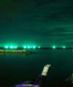 Faro Proiettore Led Flood Light 20W Colore Verde IP65 Interno Esterno Carcassa Nera SKU-5991