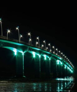 Faro Proiettore Led Flood Light 20W Colore Verde IP65 Interno Esterno Carcassa Nera SKU-5991