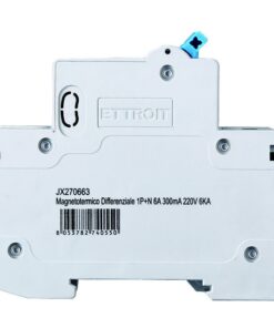 Interruttore Magnetotermico Differenziale 1P+N 6A 6KA 300mA 220V Occupa 2 Moduli DIN