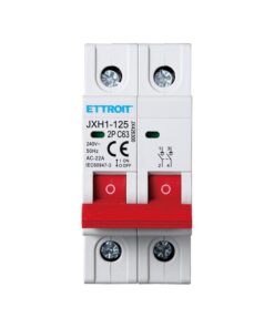 Interruttore Sezionatore 2P 63A 240VAC Guida DIN JXH1-125-2P-63A