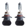 2 PZ Lampada Alogena Auto H10 12V 42W PY20d Trasparente Per Fendinebbia