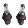 2 PZ Lampada Alogena Auto HB1 9004 12V 65/45W P29t Fari Anabbaglianti Abbaglianti