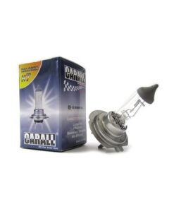 10 Pezzi Lampada Alogena Camion H7 24V 70W PX26d