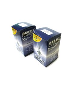 Coppia 2 Lampade H5 H4 P45t 12V 60/55W Effetto Xenon Bianco Compatibile Auto d’Epoca