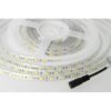 Bobina Striscia Led 300 SMD 5050 12V 10,8W/M Freddo 6400K IP65 Impermeabile 5 Metri Unguente Di Silicone Incluso SKU-212148