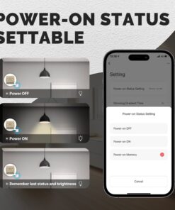 Mini Triac Dimmer WIFI 2.4G 2 Canali TUYA, Smart Life 1A AC 90-250V 50/60HZ 2X100W 40X40X18mm IP20
