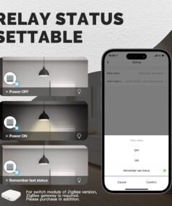 Relè Passo Passo Mini Interruttore ZigBee 3.0, 2 Canali 10A TUYA, Smart Life 10A AC 90-250V 50/60HZ 2200W 40X40X18mm IP20