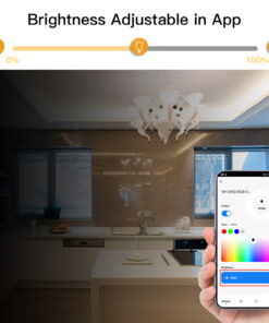 Centralina Led Controller, 6A/Canali, ZigBee 3.0, RGB+CCT, Max 12V e 24V, 15A, 2X100W, TUYA, Smart Life, 100X45X35mm, IP20