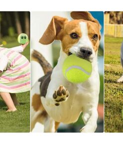 3 Pezzi Palla da Tennis Cane Giocattolo per Cani Animali Domestici