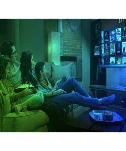 Smart Lampada Led Bulb E27 A65 15W WiFi RGB CCT Dimmerabile APP Compatible Amazon Alexa Google Home SKU-2753