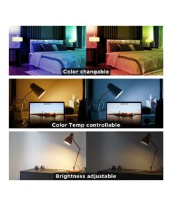 Telecomando RF 2.4GHz Radiocomando 5 in 1 RGB+CCT Per 6 Zone 9 Modalità