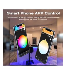 Mini ZigBee Controller 12V 24V 5 In 1 Per Striscia Led Da Mono Colore Fino a 5 Canali Con Philips HUE 3.0 e Amazon Alexa Echo (4ª generazione) o Echo Studio