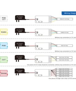 Mini ZigBee Controller 12V 24V 5 In 1 Per Striscia Led Da Mono Colore Fino a 5 Canali Con Philips HUE 3.0 e Amazon Alexa Echo (4ª generazione) o Echo Studio