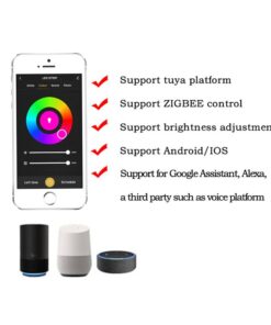 Mini ZigBee Controller 12V 24V 2 Canali Per Striscia Led CCT APP Tuya HUE Compatibile Con Alexa Google Home