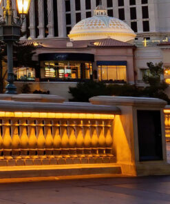 Strip LED COB-320 10W/m 5m 24V 900Lm/m 3000K IP67 10mm SKU-23138