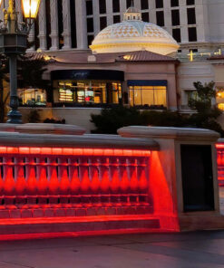 Strip LED COB-320 10W/m 5m 24V Colore Rosso IP67 10mm SKU-23141