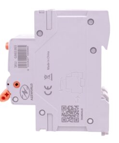 RCBO Doppia Leva, Interruttore Magnetotermico Differenziale Tipo A Curva C 1P+N 2M 6000A 30mA AC 230V IP20 IEC61009-1 GYR9NM, Disponibili 40A 50A 63A (C63A)