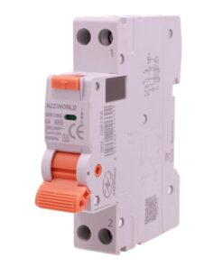 RCBO Interruttore Magnetotermico Differenziale Tipo A-SI Super Immunizzato, Curva C 1P+N 1M 6000A 30mA AC 230V IP20, GYR10N, Disponibili 6A 10A 16A 20A 25A 32A 40A (C6A) - ASDSHOP