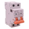 MCB Interruttore Magnetotermico Automatico Curva C 2P 2M 10000A AC 400V IP20 GYM9H, Accoppiabile Con Bobina di Sgancio GA01231 GA01232, Disponibili 25A 32A 40A 63A (C25A) - ASDSHOP