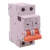 MCB Interruttore Magnetotermico Automatico Curva C 2P 2M 10000A AC 400V IP20 GYM9H, Accoppiabile Con Bobina di Sgancio GA01231 GA01232, Disponibili 25A 32A 40A 63A (C32A) - ASDSHOP